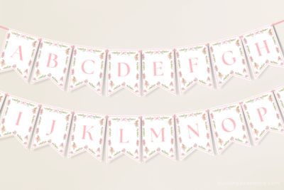Hanging alphabet themed alphabet letters bunting banner with bow, ballerinas and floral flag border.