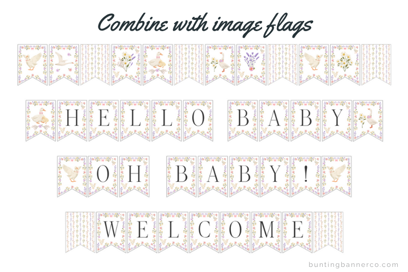 Hello baby, Oh baby and welcome banner signs with geese, flowers, bouquets and pattern image flags.